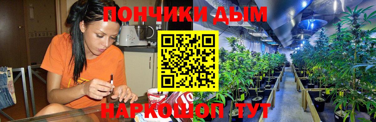 Канабис тримм  Вход с VPN  Шишки марихуана Amnesia  Балашиха  Бошки марихуана гибрид  Каннабис планчик 